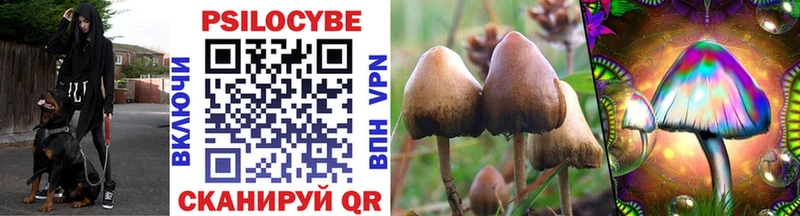 shop как зайти  Себеж  Псилоцибиновые грибы GOLDEN TEACHER 